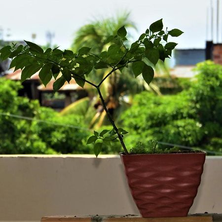 Flor Del Valle Posada Tarapoto Exterior foto